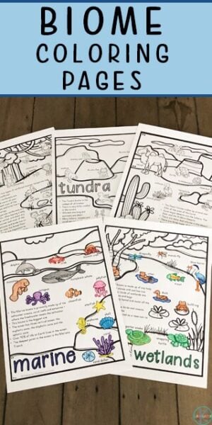 Free biomes coloring pages for kids