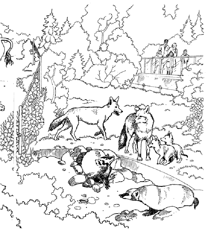 Tundra biome coloring sheet