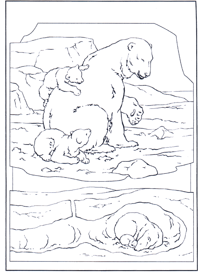 Tundra coloring pages