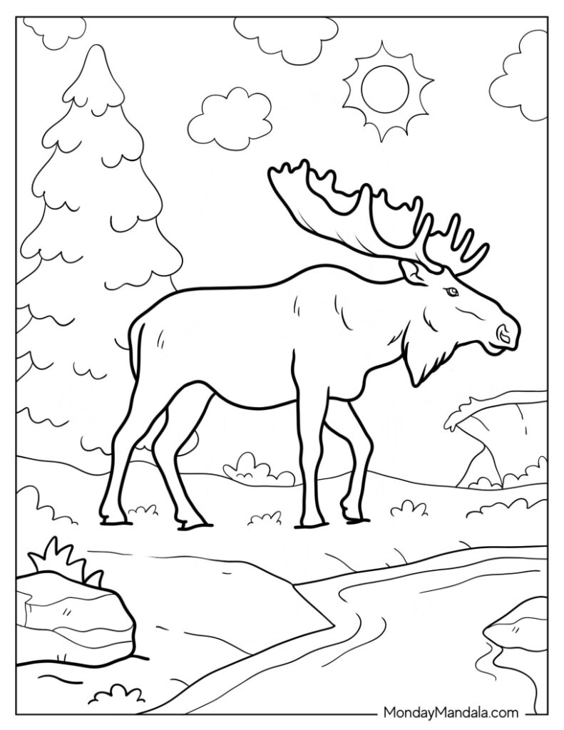 Moose coloring pages free pdf printables