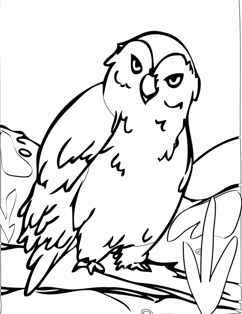 Tundra coloring pages