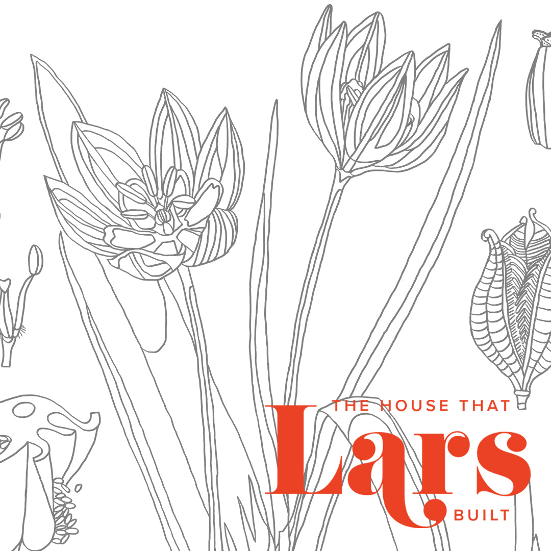 Tulip chart coloring page pdf printable â the house that lars built