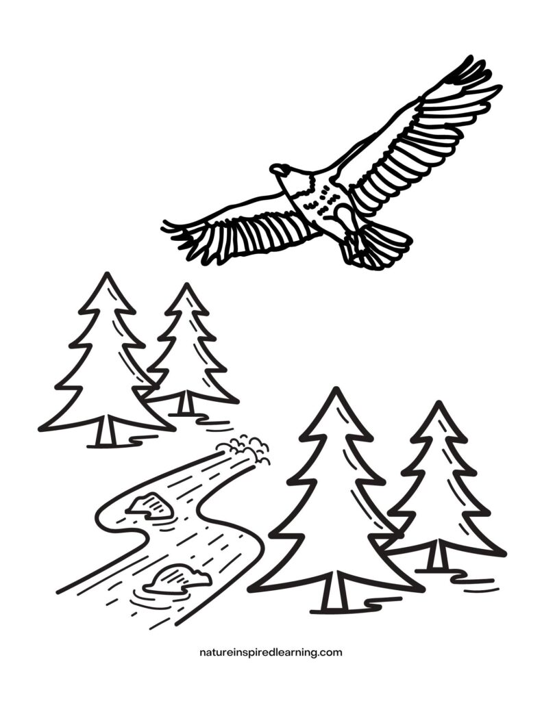 Free realistic bird coloring pages