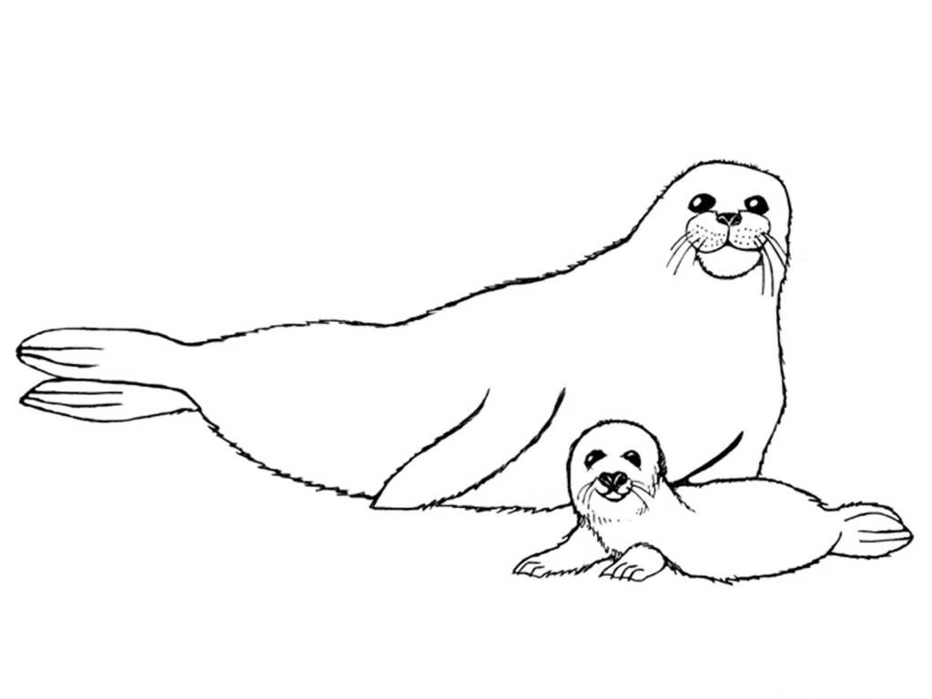 Tundra coloring pages