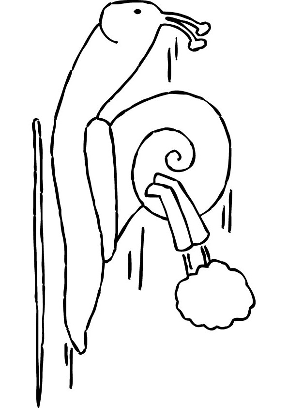 Turbo snail coloring pages pictures