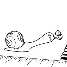 Turbo the snail coloring pages