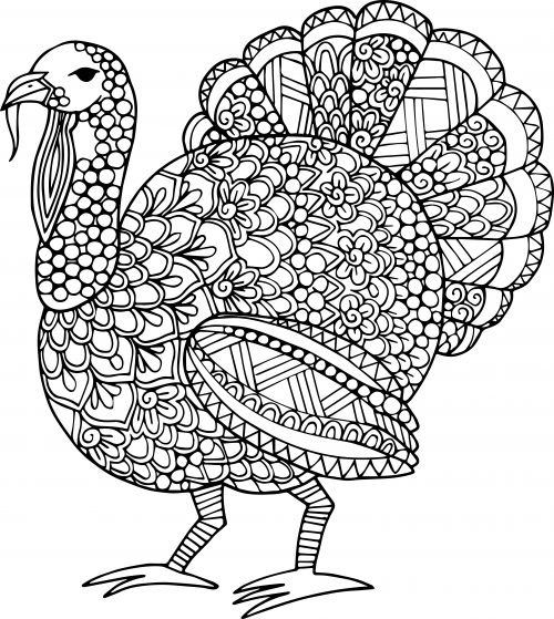 Adult coloring page lets talk turkey