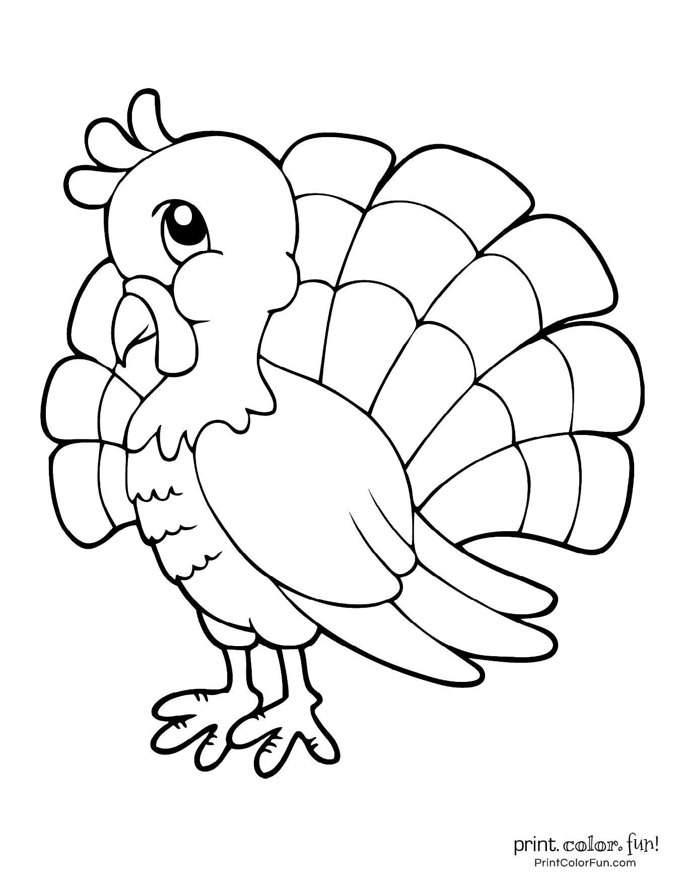 Terrific thanksgiving turkey coloring pages for some free printable holiday fun at printcolorfun