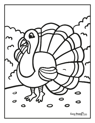 Turkey coloring pages