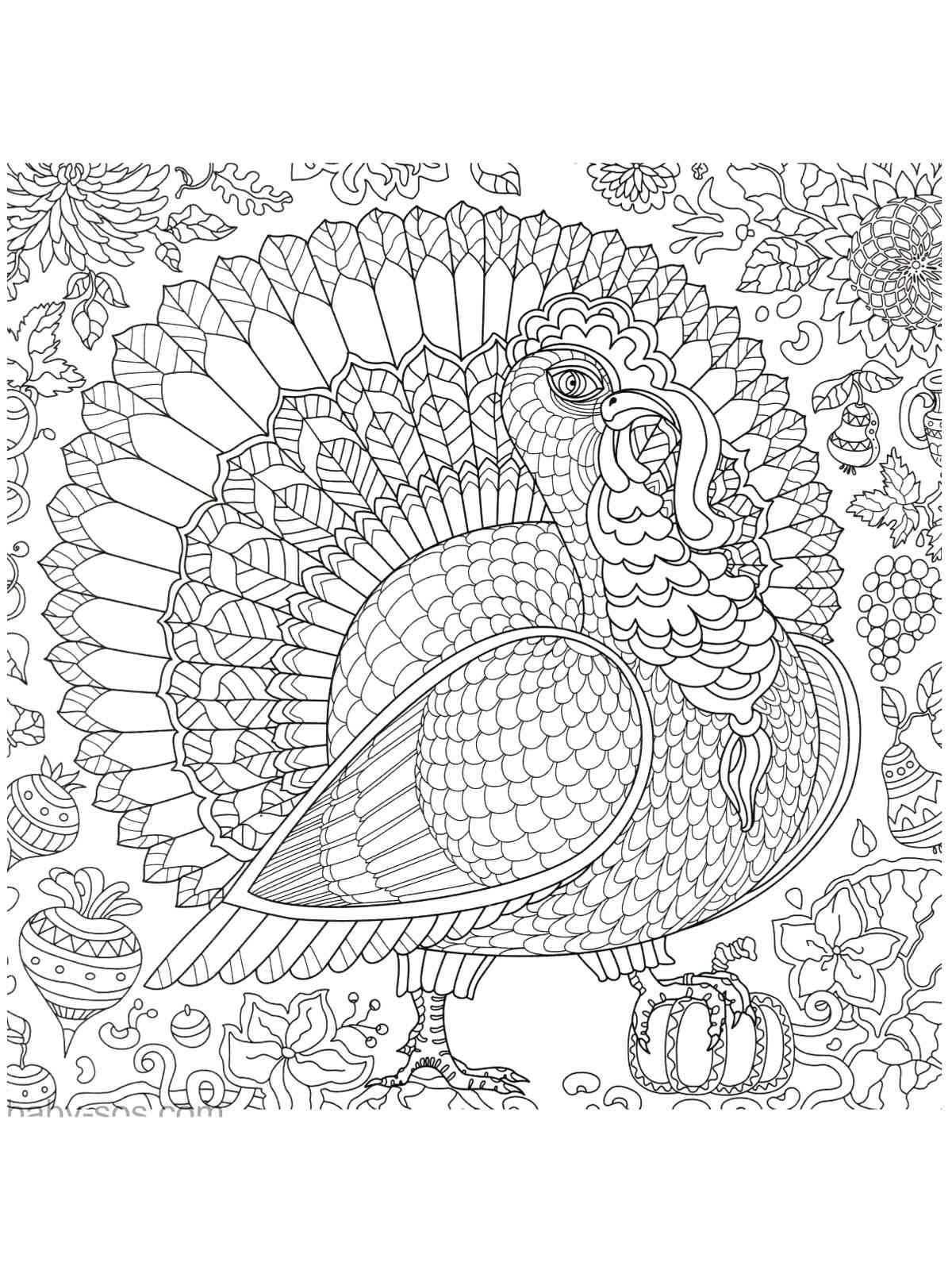 Turkey coloring pages for adults