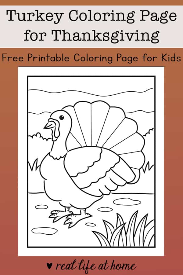 Free turkey coloring page for thanksgiving for kids