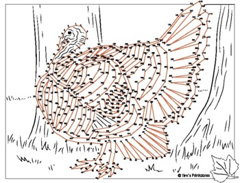 Turkey extreme difficulty dot