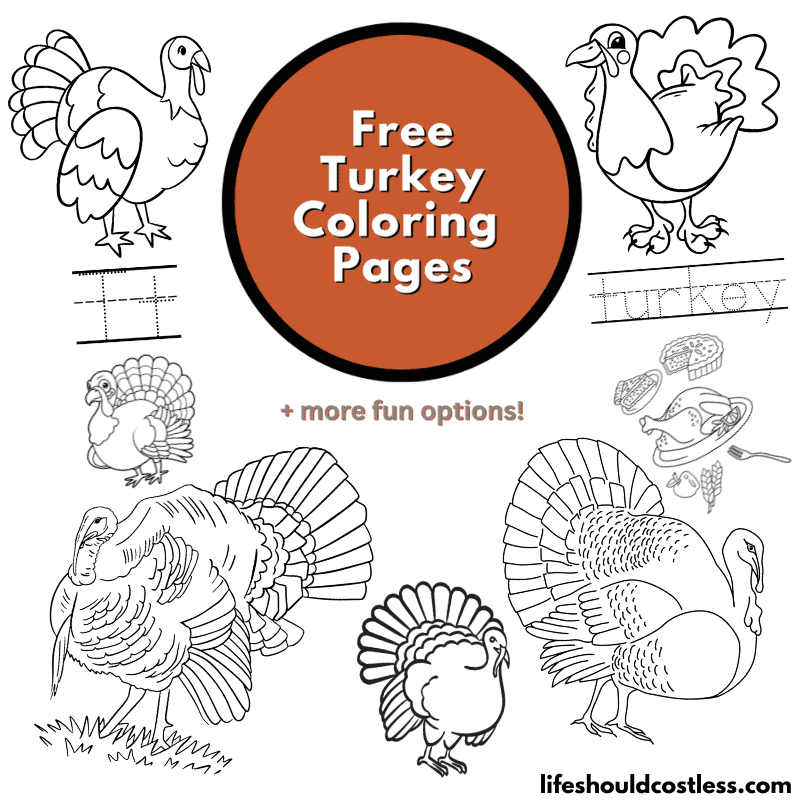 Turkey coloring pages free printable pdf templates