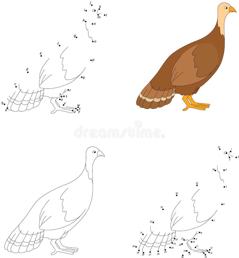 Dot to dot turkey coloring page for kids stock vector