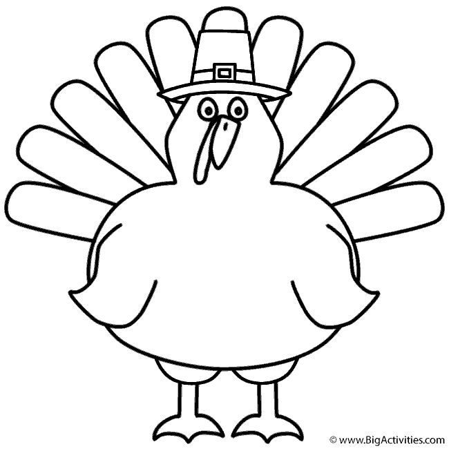 Turkey with pilgrim hat