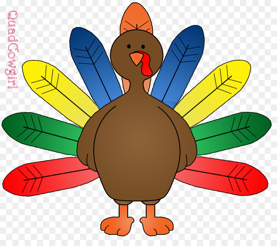 Thanksgiving turkey drawing png download