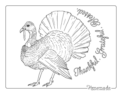 Free printable turkey coloring pages for kids