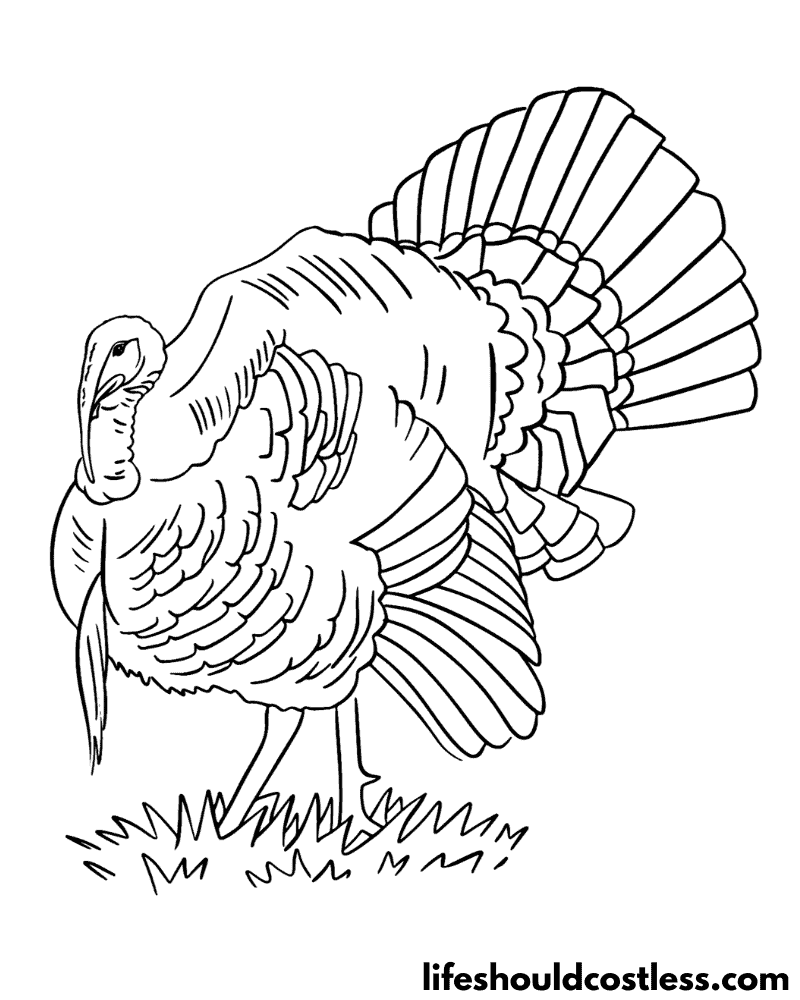 Turkey coloring pages free printable pdf templates