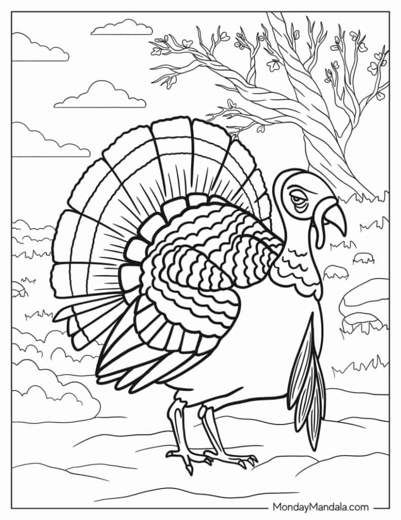 Turkey coloring pages free pdf printables