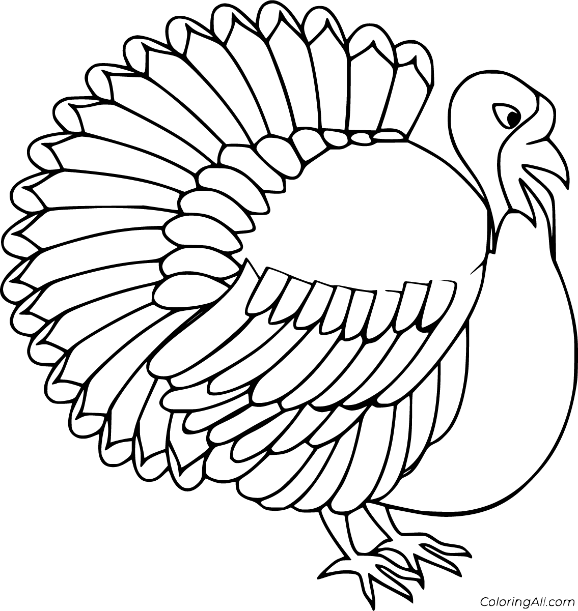 Realistic turkey coloring pages