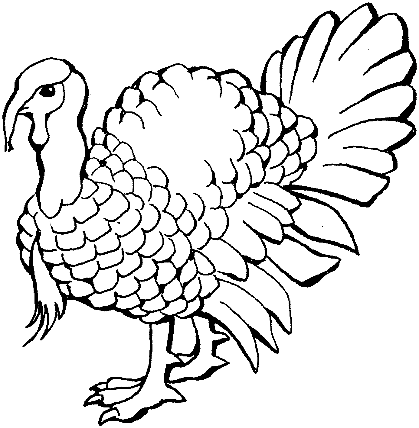 Free printable turkey coloring pages for kids