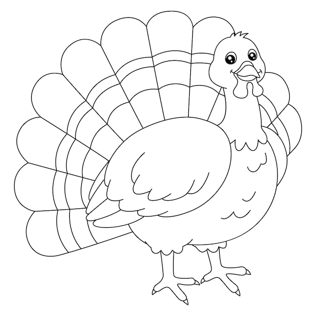 Premium vector turkey coloring page isolated for kids