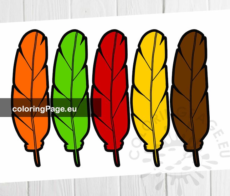 Colorful thanksgiving feathers coloring page