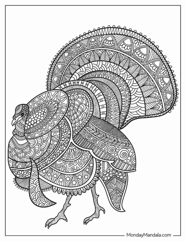 Turkey coloring pages free pdf printables