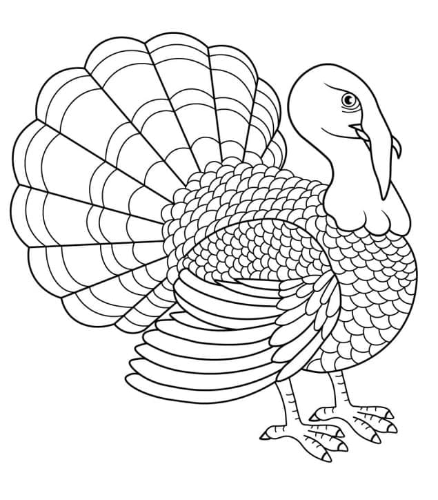 Big turkey coloring page