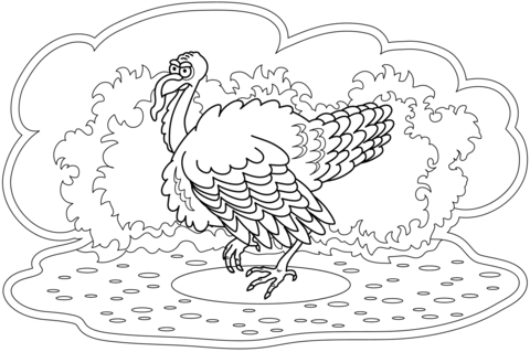 Turkey coloring page free printable coloring pages