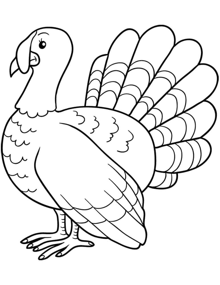 Turkey for children coloring page