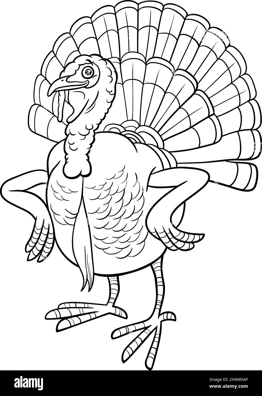 Black and white cartoon illustration of turkey bird farm animal character coloring book page stock vector image art