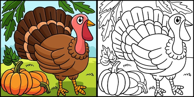 Premium vector thanksgiving turkey coloring page illustration