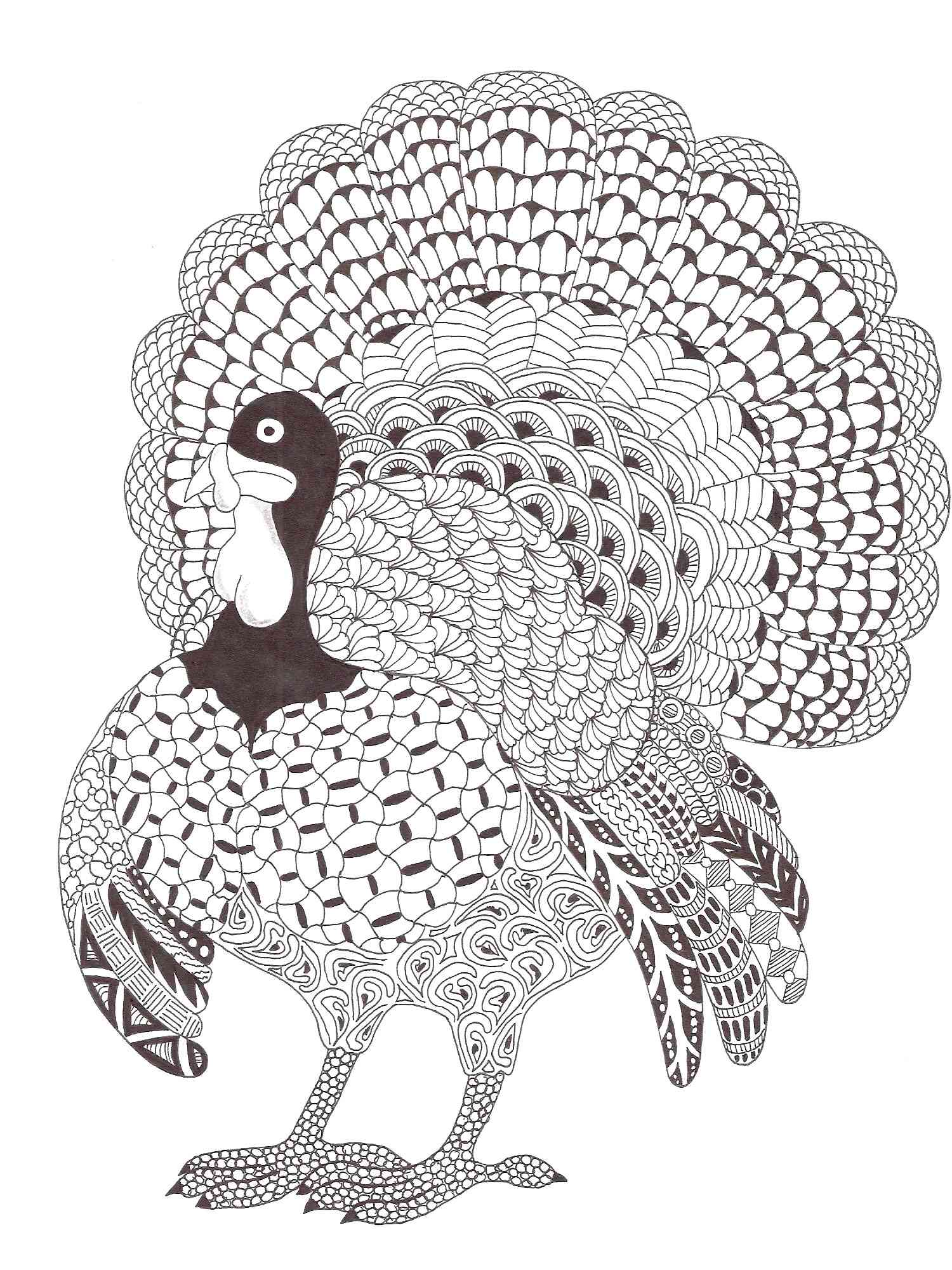 Turkey coloring pages for adults