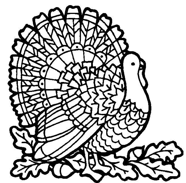 Turkey coloring