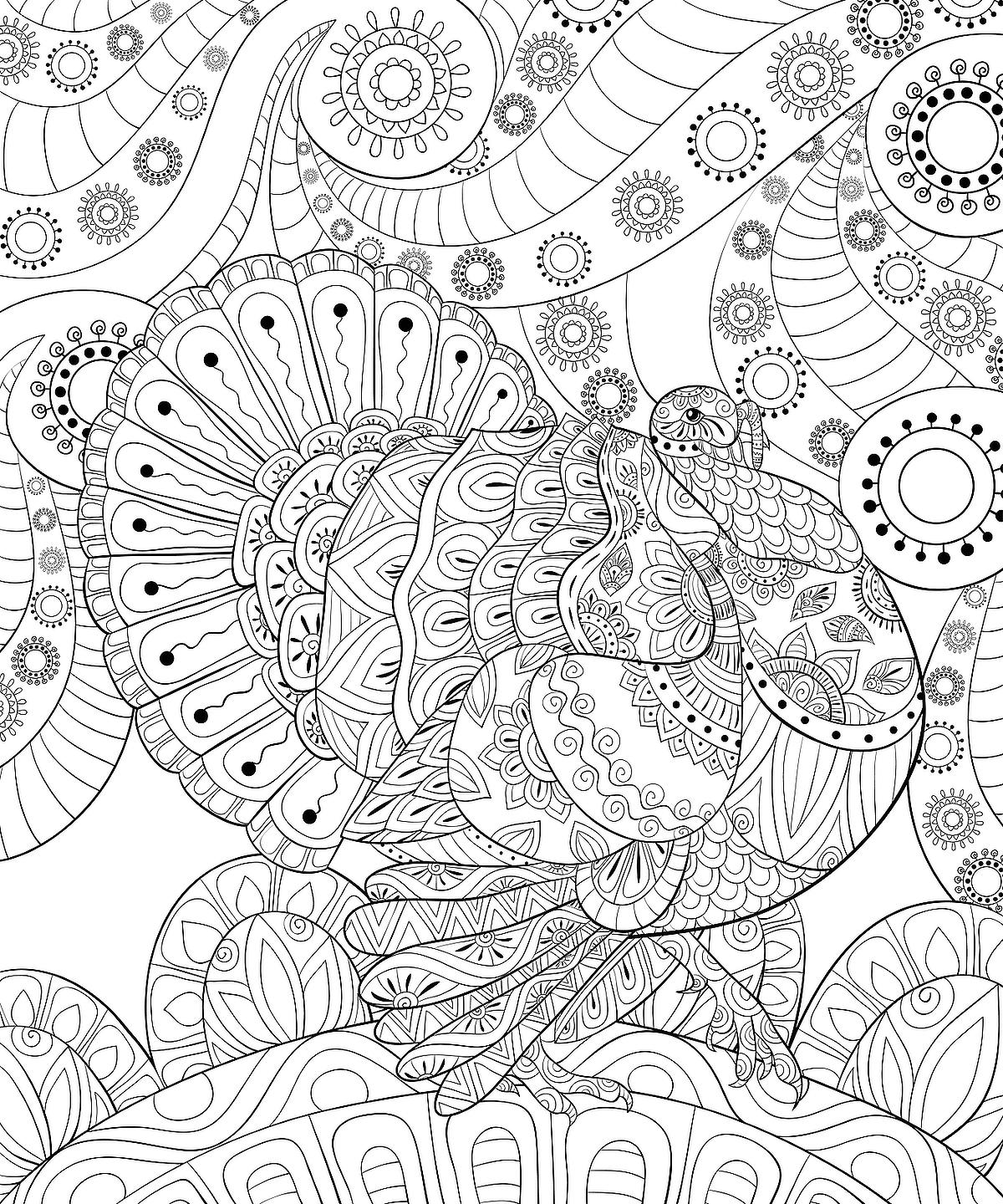 Turkey coloring pages free fun printable coloring activity pages of turkeys for thanksgiving printables mom