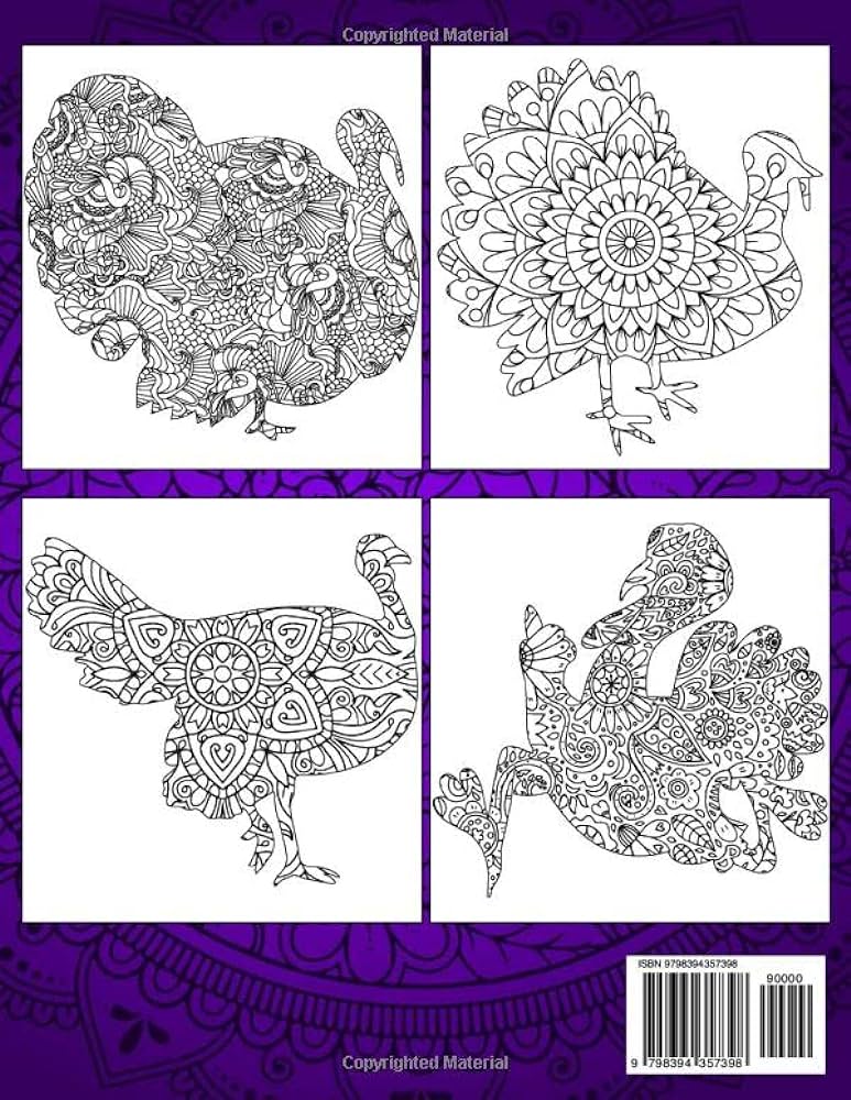 Turkey coloring book stress relieving adorable turkey coloring pages for turkey lovers with beautiful floral and mandala patterns illustrations shahanaj books