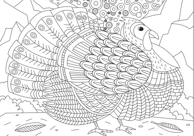 Free thanksgiving turkey coloring page from the denver post