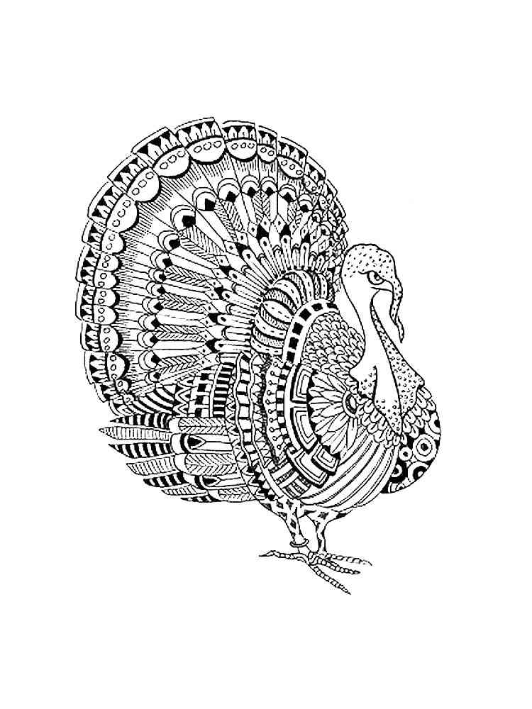 Turkey coloring pages for adults