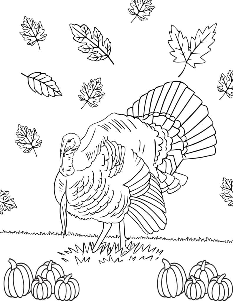 Free thanksgiving turkey coloring pages for kids