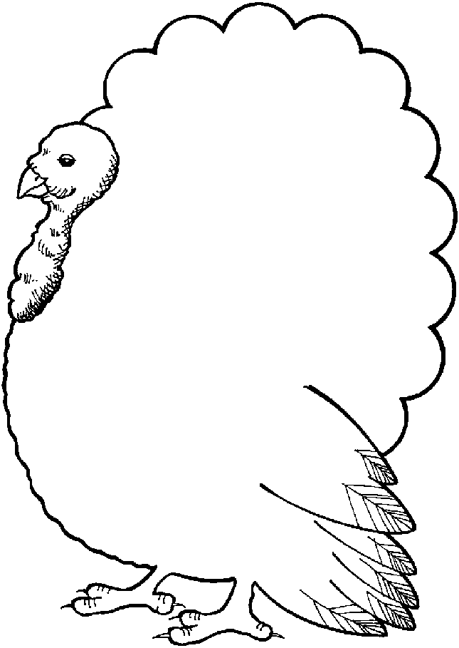 Free printable turkey coloring pages for kids