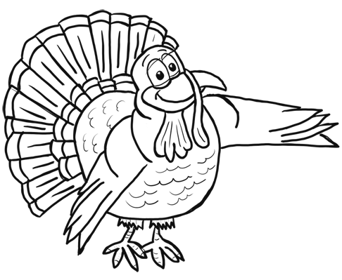 How to draw cartoon turkeys thanksgiving animals step by step drawing lesson