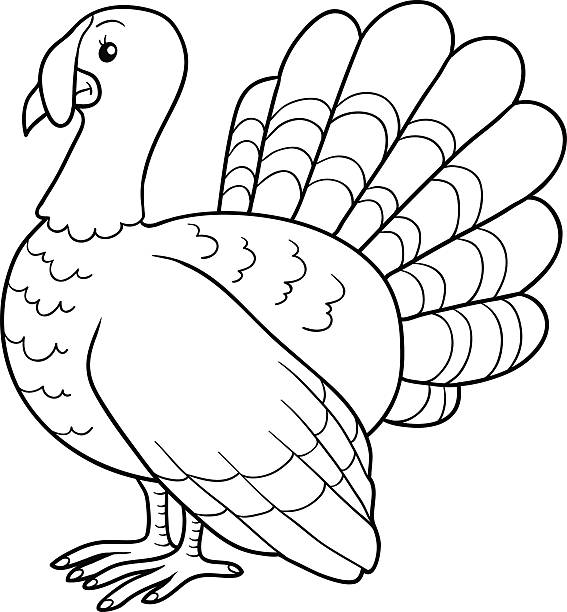 Turkey feather coloring page cartoons stock illustrations royalty