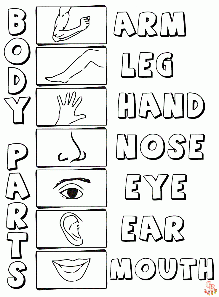 Discover fun and free body parts coloring pages for kids on