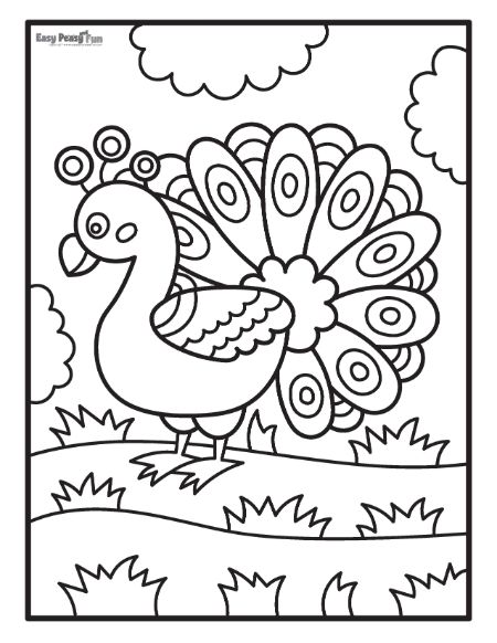 Printable bird coloring pages