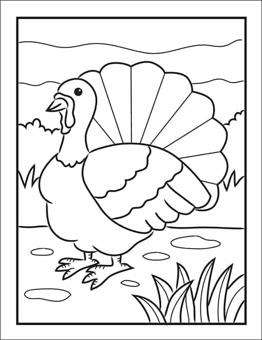 Free turkey coloring page for thanksgiving for kids