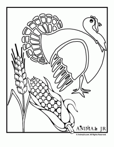 Thanksgiving coloring pages turkey coloring pages animal jr