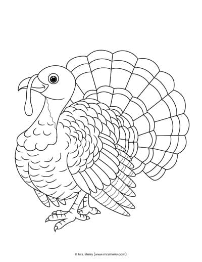 Free terrific turkey coloring pages for kids mrs merry