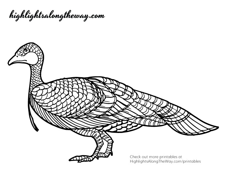 Thanksgiving coloring pages