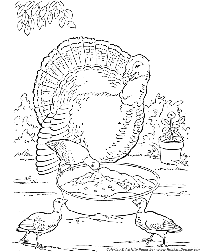 Farm animal coloring pages farm turkey coloring page and kids activity sheet